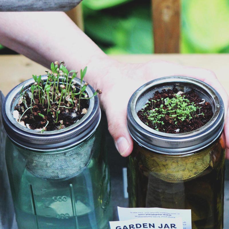 Visie Elly J. Meijertuin